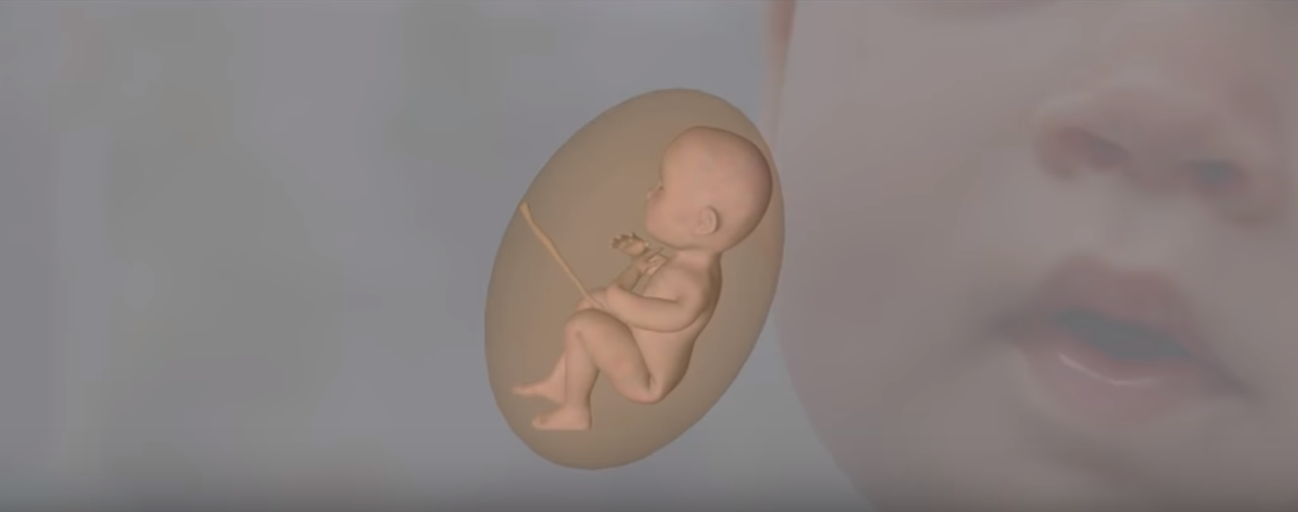 Што се бебето во утробата може да слушне и почувствува?