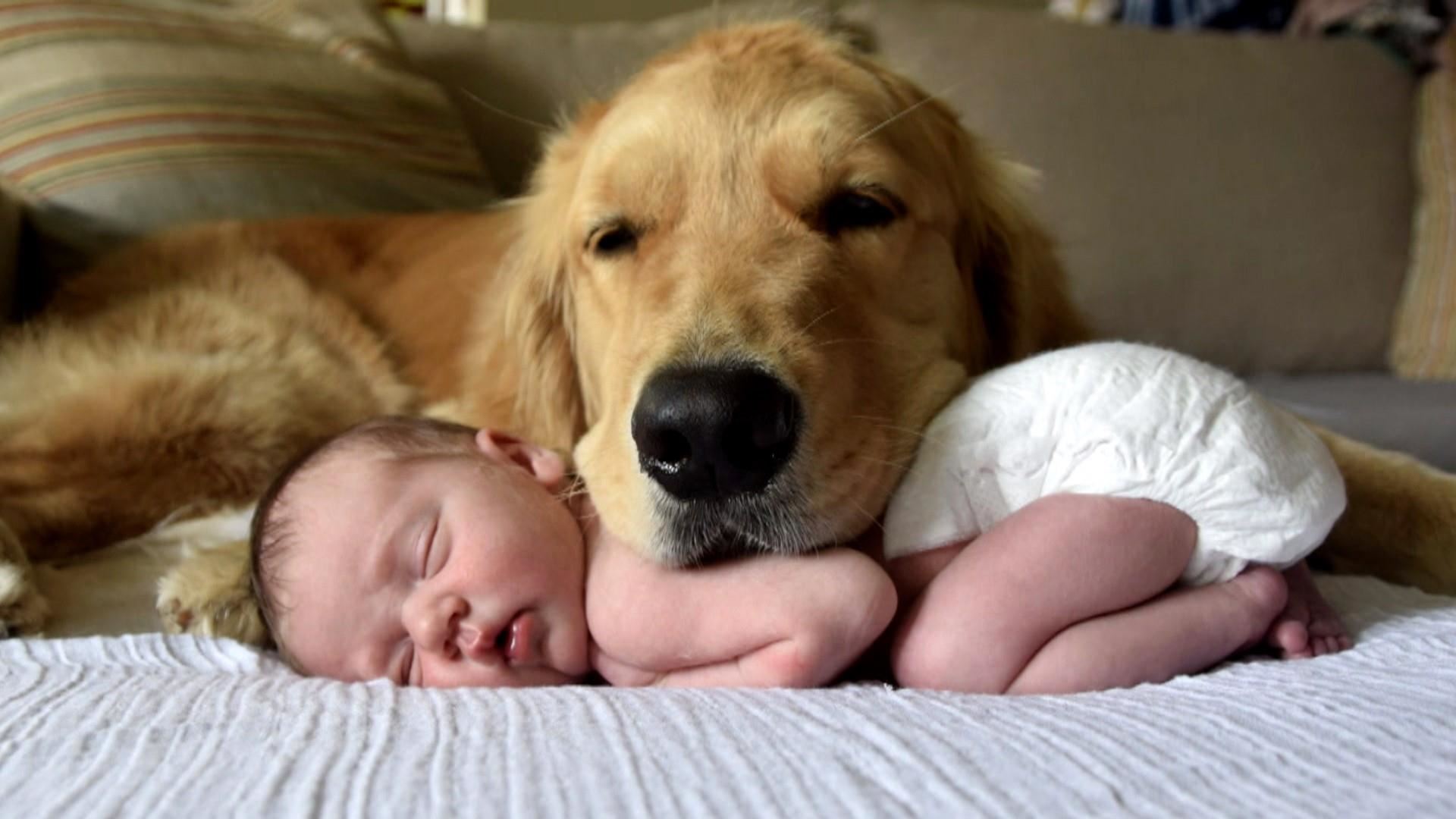 Деца и кучиња – кога растат заедно