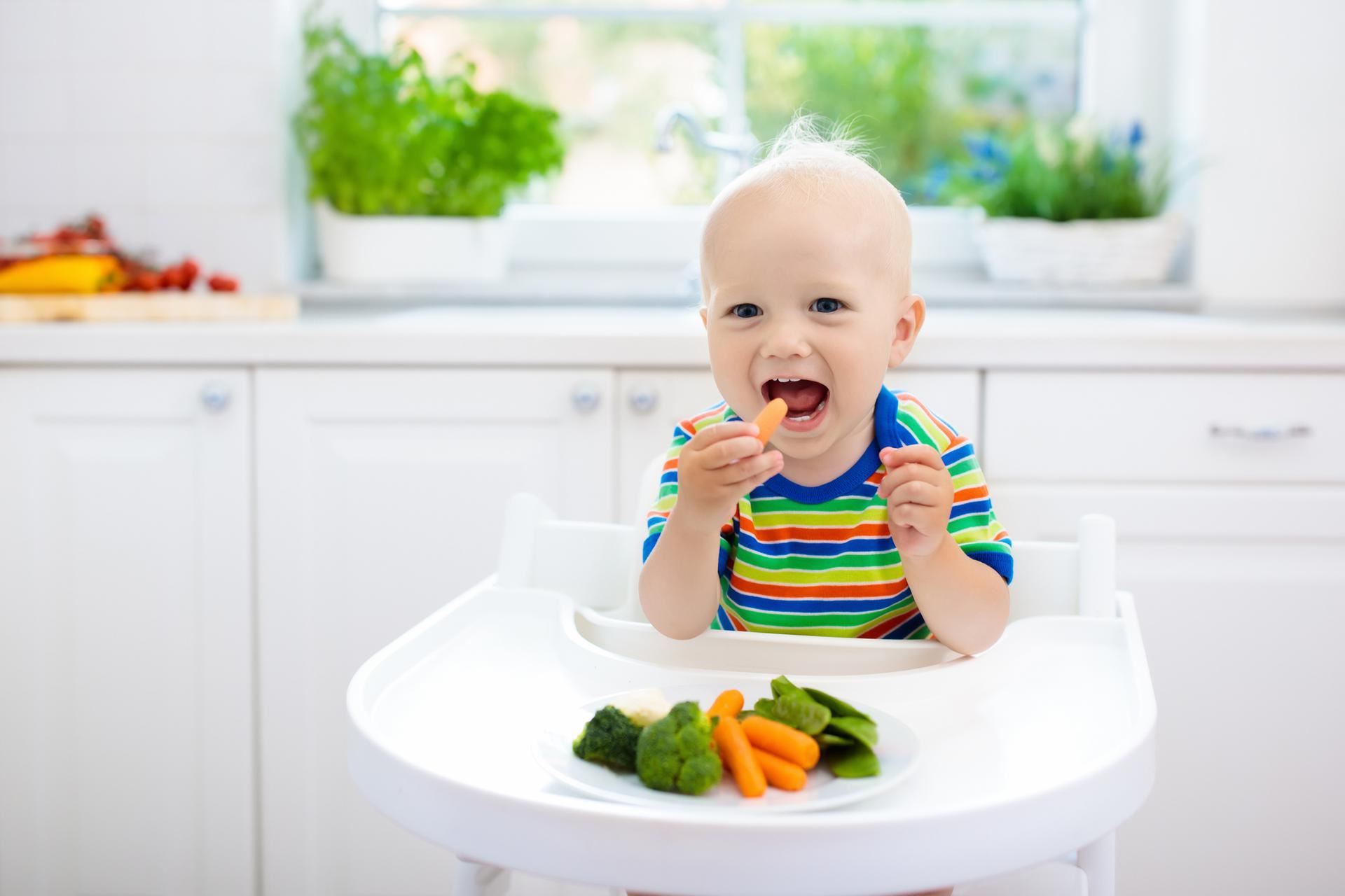 Се за внесување на немлечна храна и (дел од млечна) храна кај бебињата на возраст од 7 – 8 месеци
